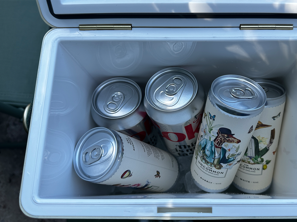 Best cool boxes IndyBest review Fieldbar 