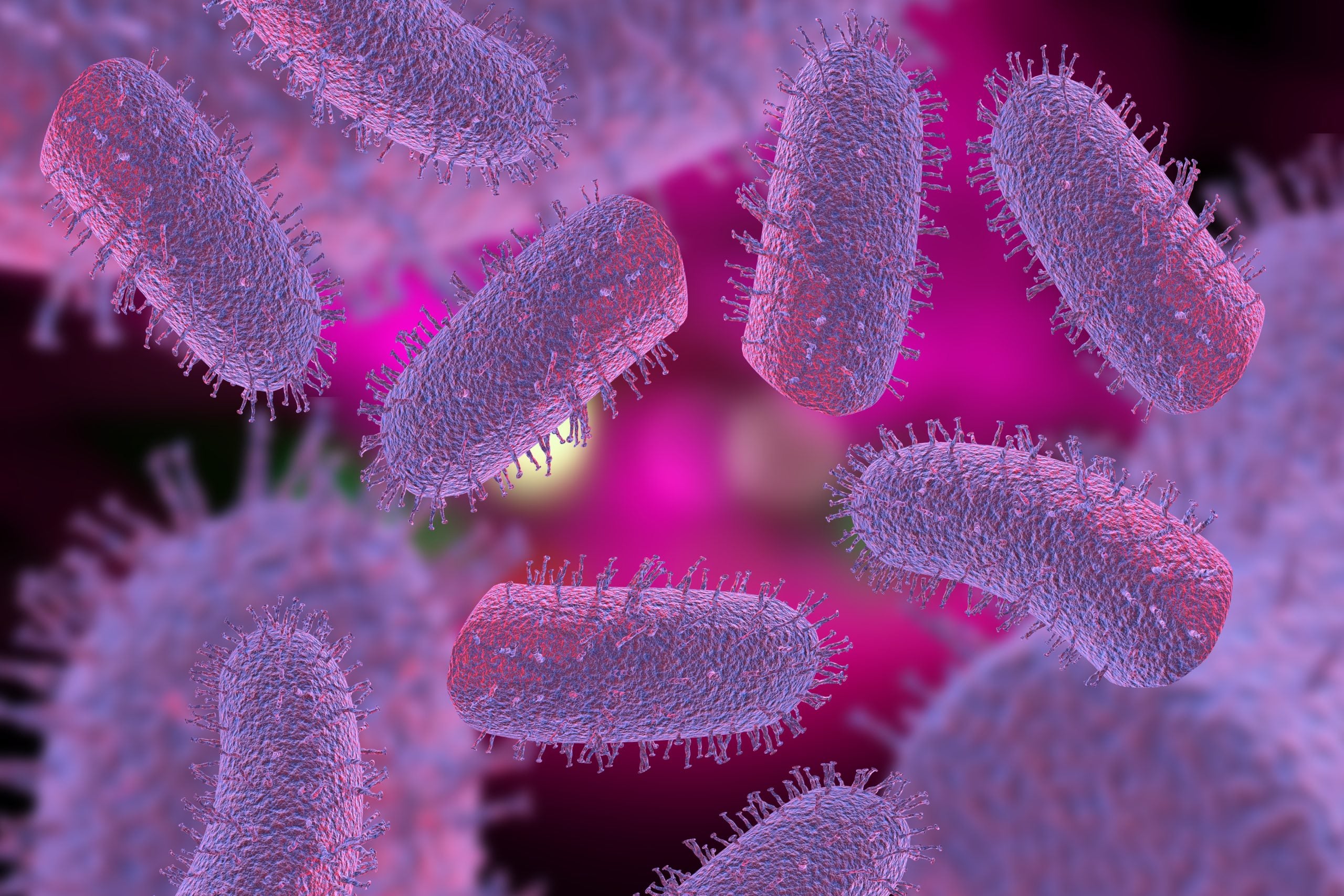 Fewer than 10 people in the U.S. die from rabies each year. There are approximately 4,000 cases annually