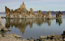 Science journal pulls controversial study about bizarre life form