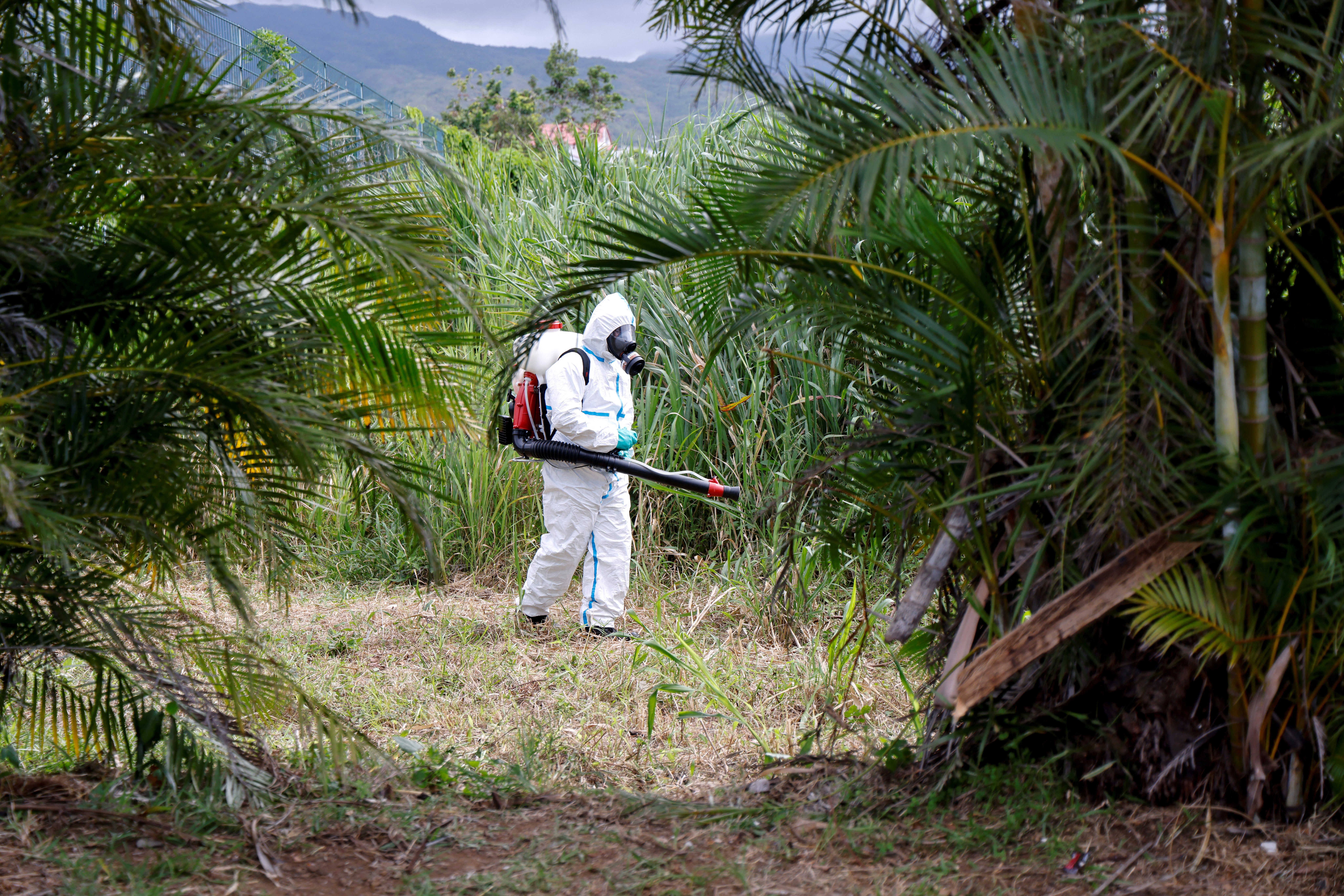An ARS vector control agent operates as part of the fight against the Chikungunya pandemic by mosquitoes in Saint-Benoit on the French overseas island of La Reunion on April 22, 2025