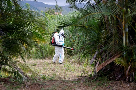 Virus cases rise among travellers returning to Britain