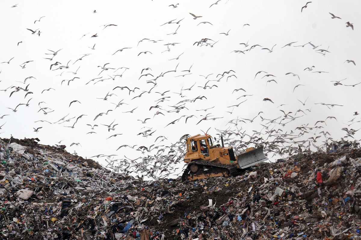 31e78c8adc18abb1b119ff2a39a0dfd6Y29udGVudHNlYXJjaGFwaSwxNzUzNTI4NDMw 2.6774711