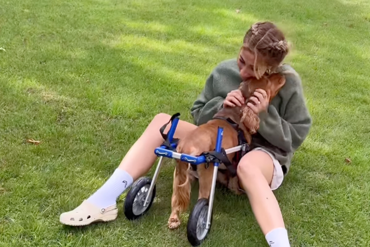 Stacey Solomon gives beloved dog ‘second chance’ at life after sudden illness