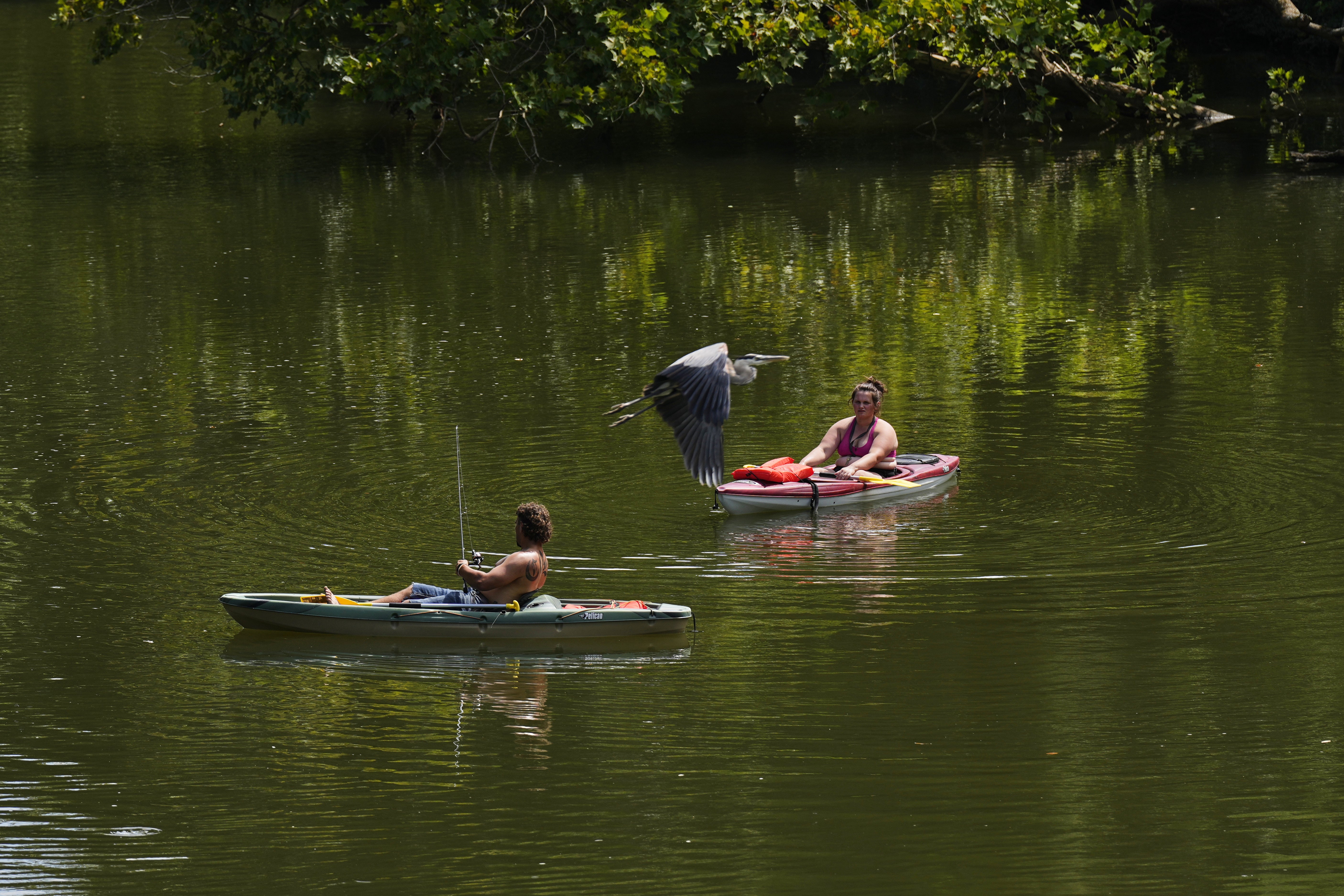 Extreme Weather Heat Tennessee