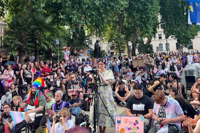 <p>The London Trans Pride march in central London (Chloe Dall’Olio)</p>
