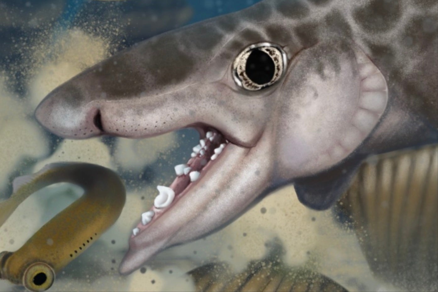Fossils of an ancient shark species have been discovered in a Kentucky cave, park officials announced