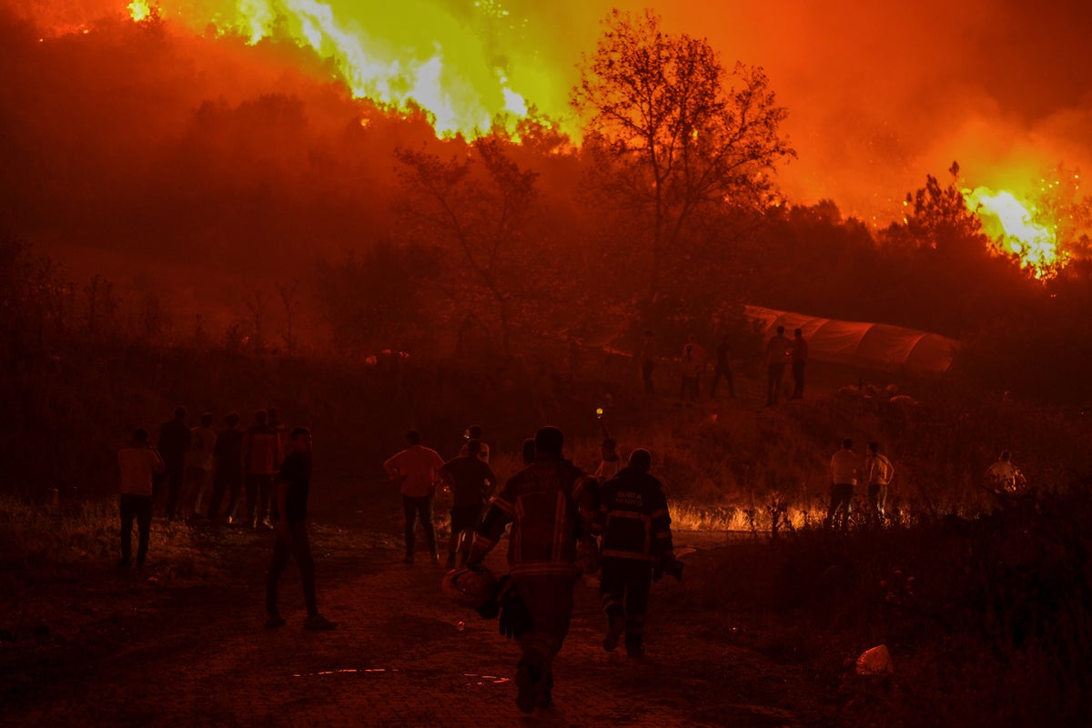 ‘Apocalyptic’ Turkey wildfires spread as 14 killed in blazes sparked by record 50C heatwave