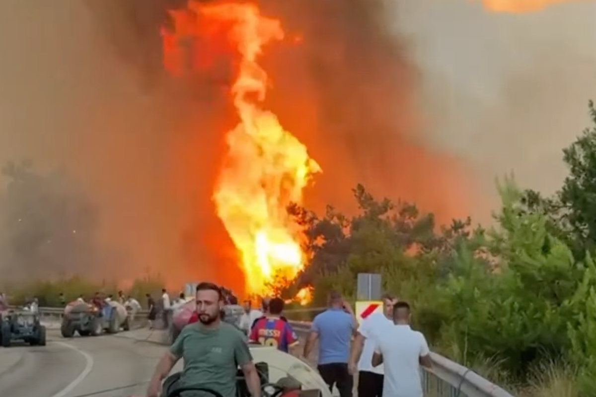 Video shows Turkey wildfire rage as locals in Bursa tackle blaze