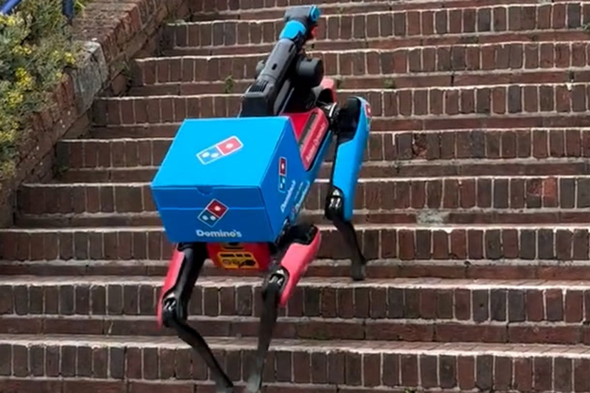Domino’s test robot dog to deliver pizzas