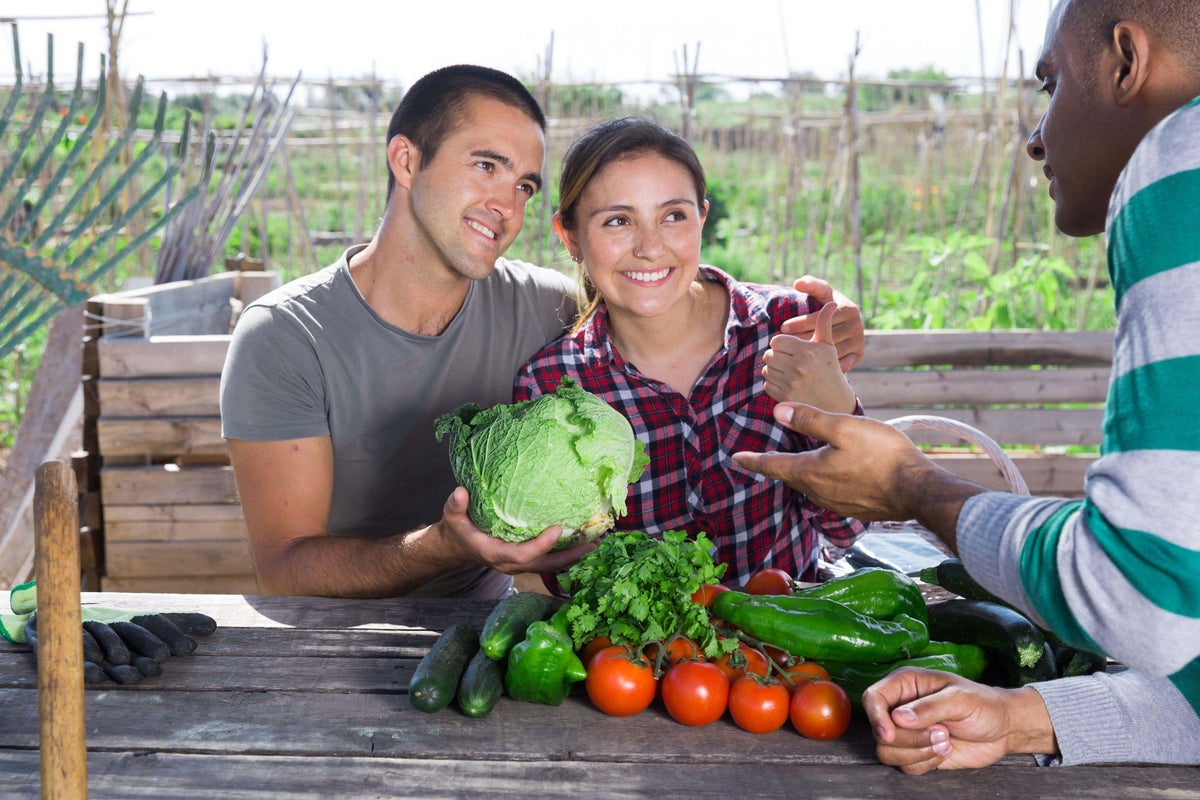 How to get the feel-good factor from an allotment