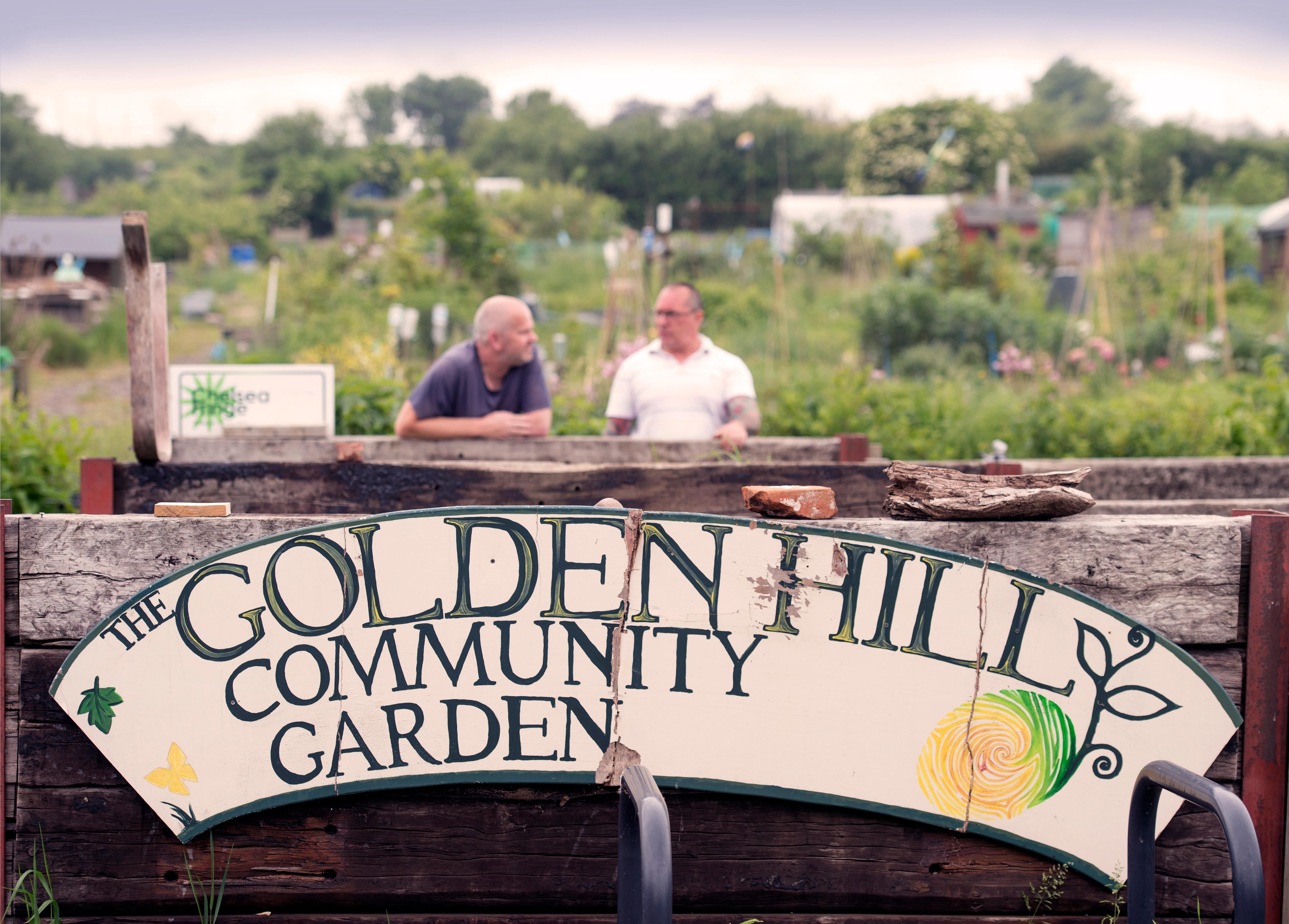 Gardening at an allotment is good for the soul - here’s how to make the most of it