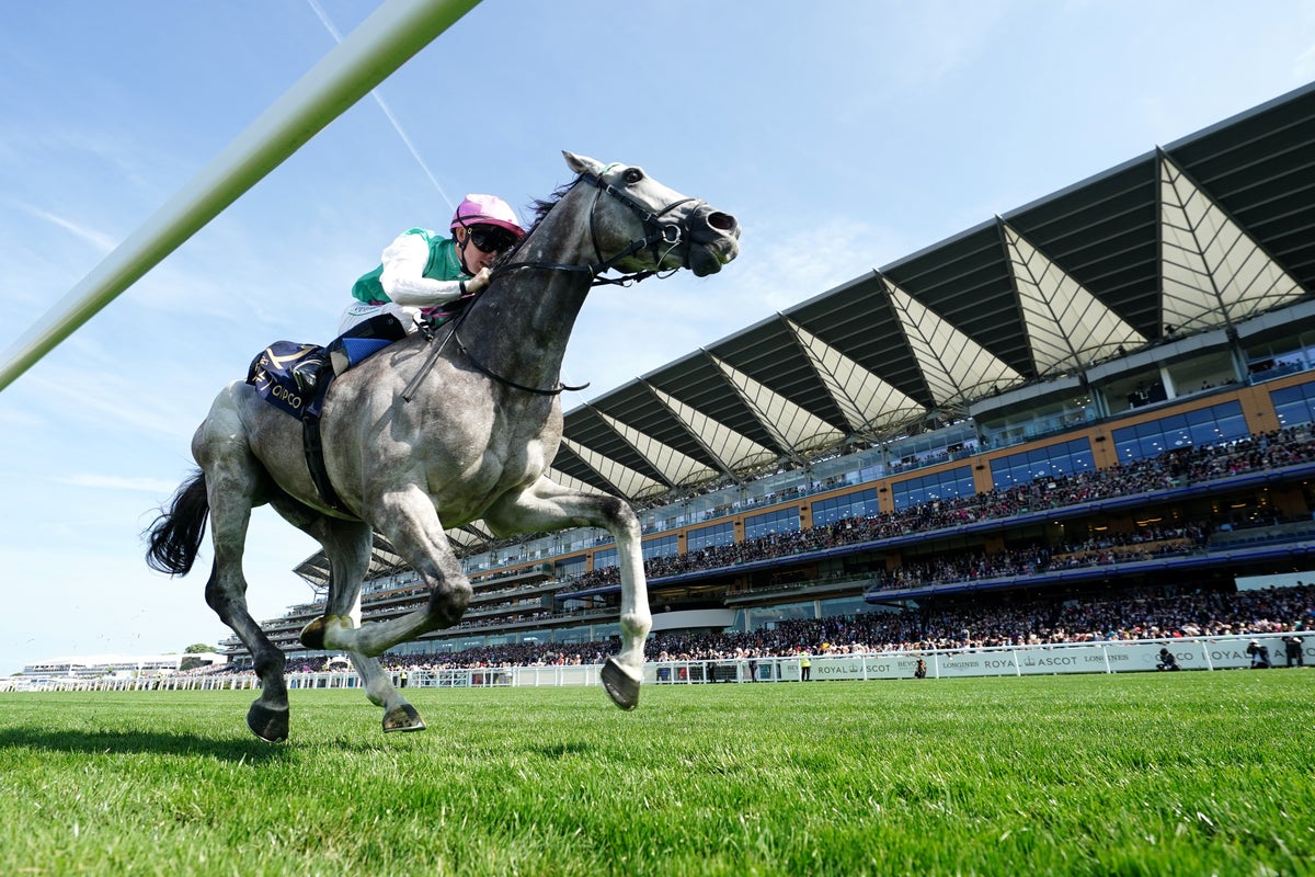 Glorious Goodwood racing tips: Best bets and odds for day one
