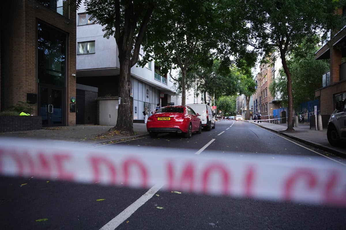 Two dead after stabbing at business in south London