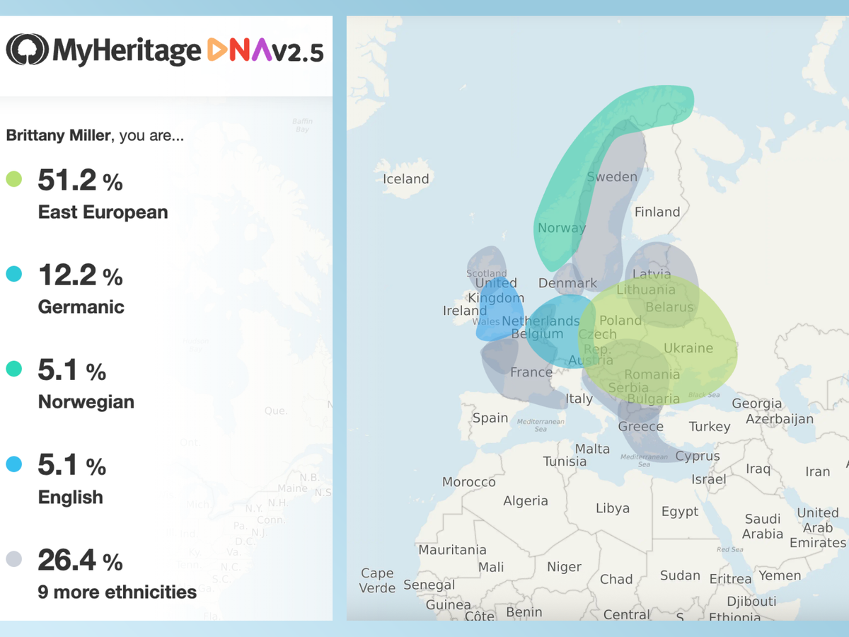 MyHeritage DNA test kit review: Is the service worth the money in