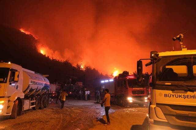 <p>Skies turned orange near Turkey’s city of Bursa where wildfires have scorched 3,000 hectares around the perimeter</p>