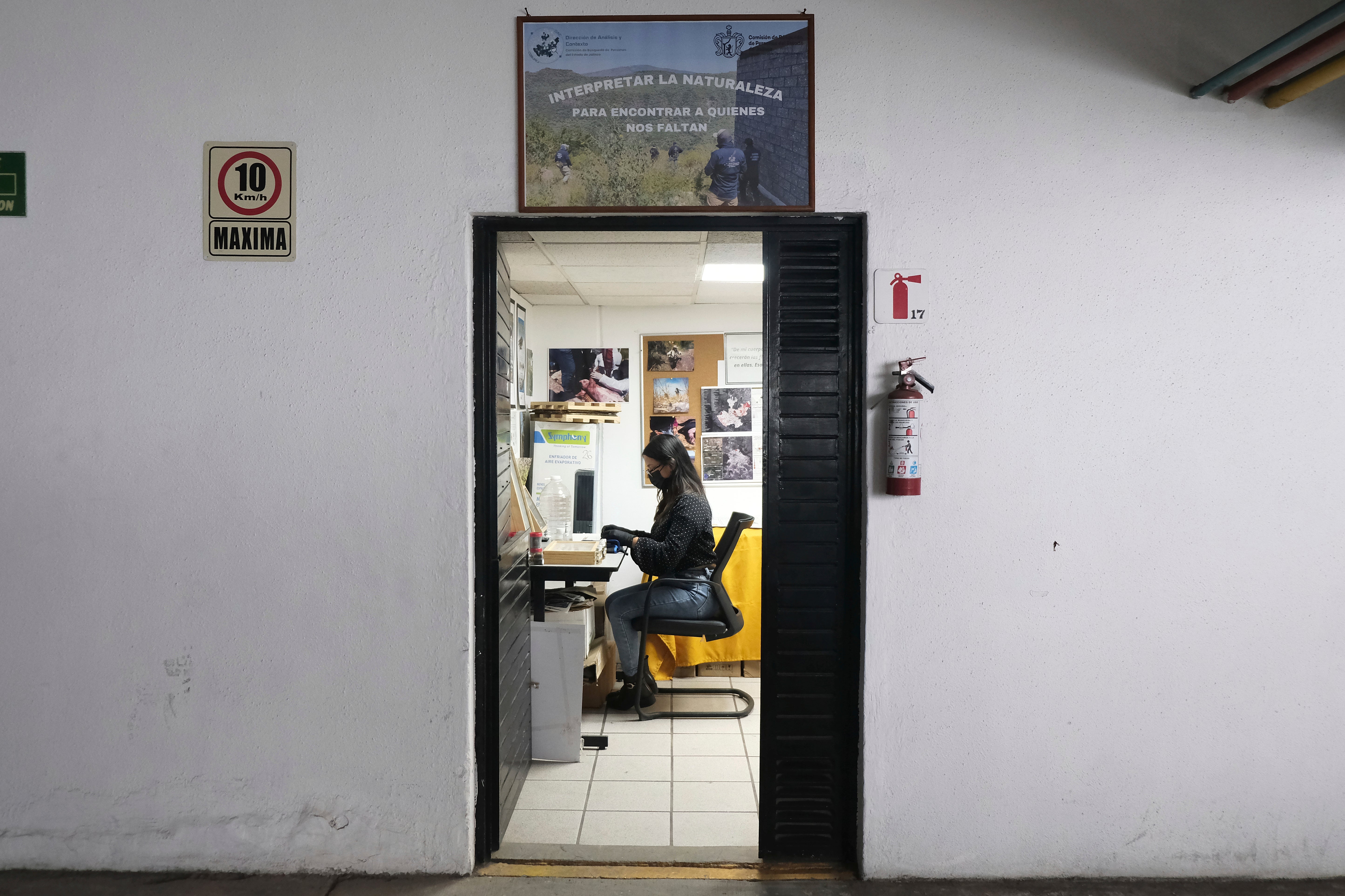 A specialist examines insects collected from clandestine graves in Jalisco, which are currently being studied as part of a research project to help find people who have gone missing in Mexico during decades of drug cartel violence
