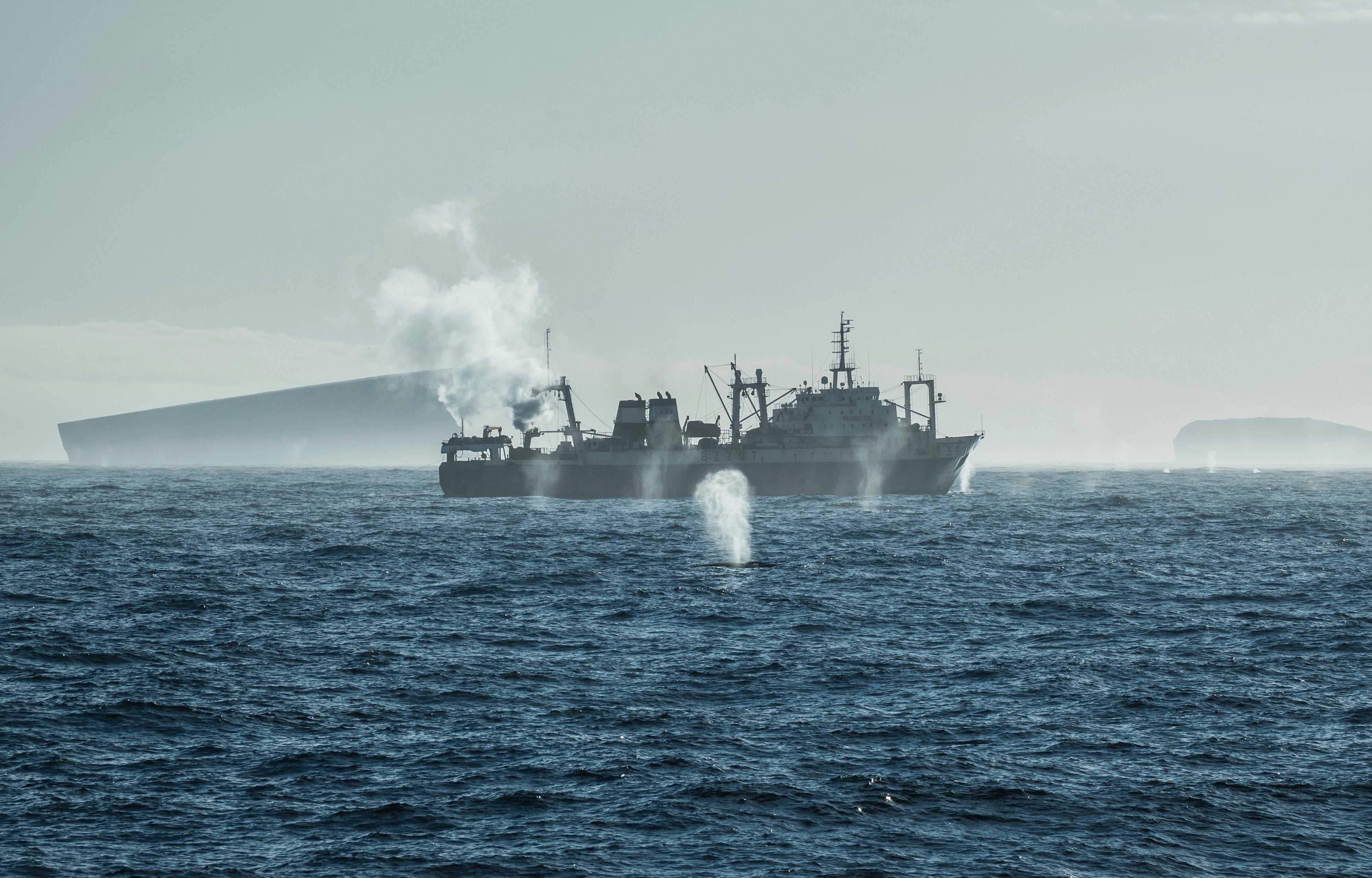 Ocean-Fisheries-Antarctic-Krill