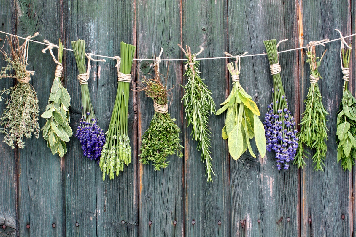 Tips on harvesting and saving your home-grown herbs