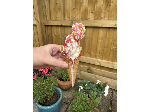 Ninja’s new soft serve ice cream machine has launched test image indybest