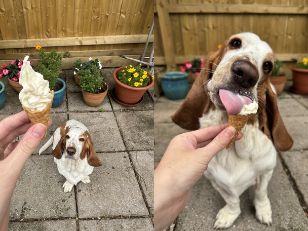 Ninja’s new soft serve ice cream machine has launched test image indybest