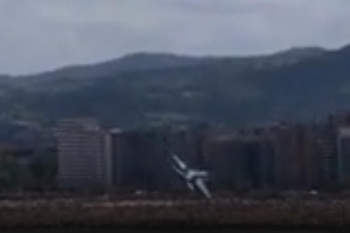 Military jet comes perilously close to crowded beach while avoiding flock of birds