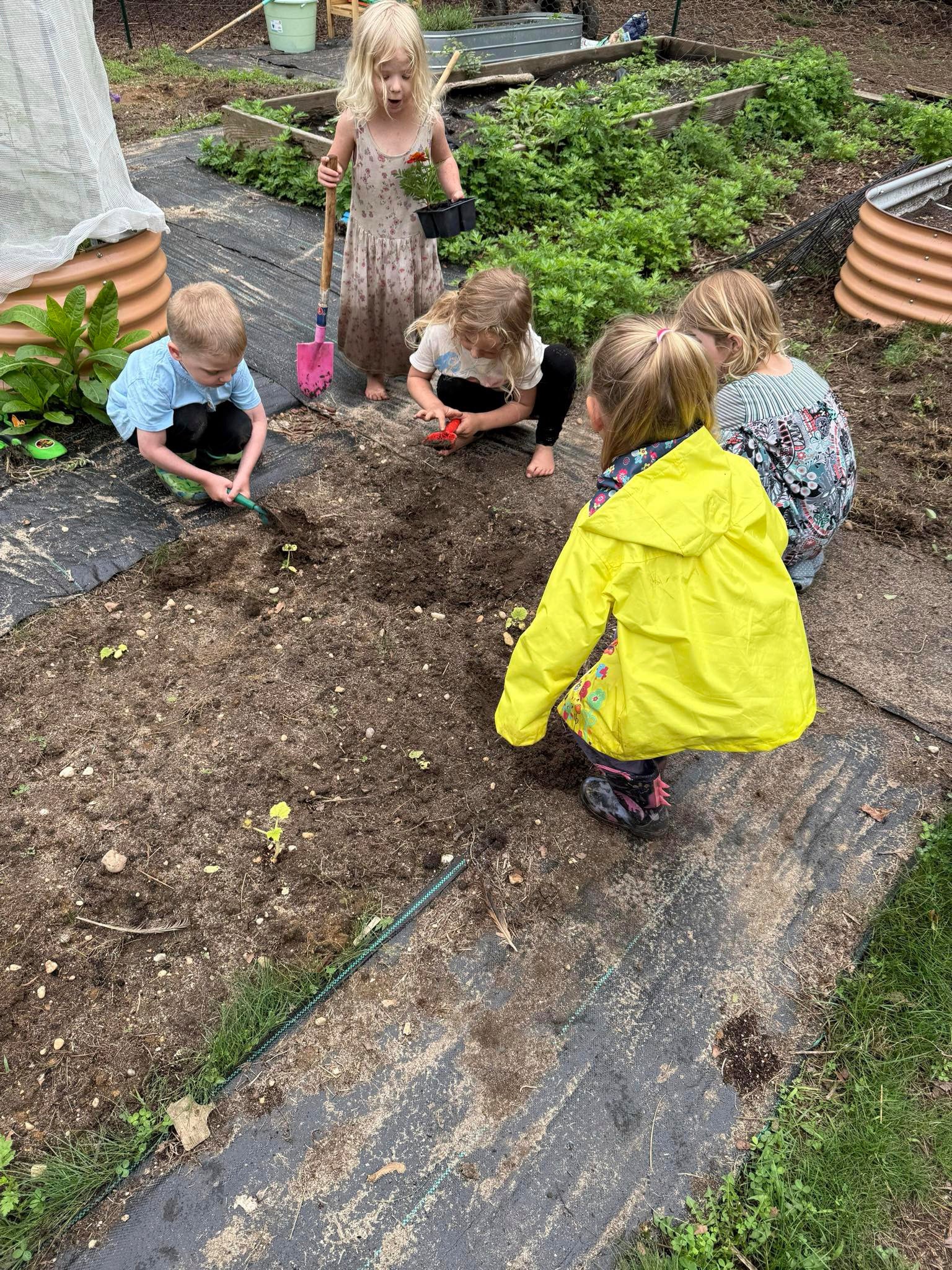 Gardening-Kids