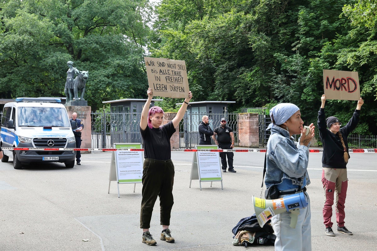 German zoo kills 12 baboons that it didn't have enough space to house, despite protests