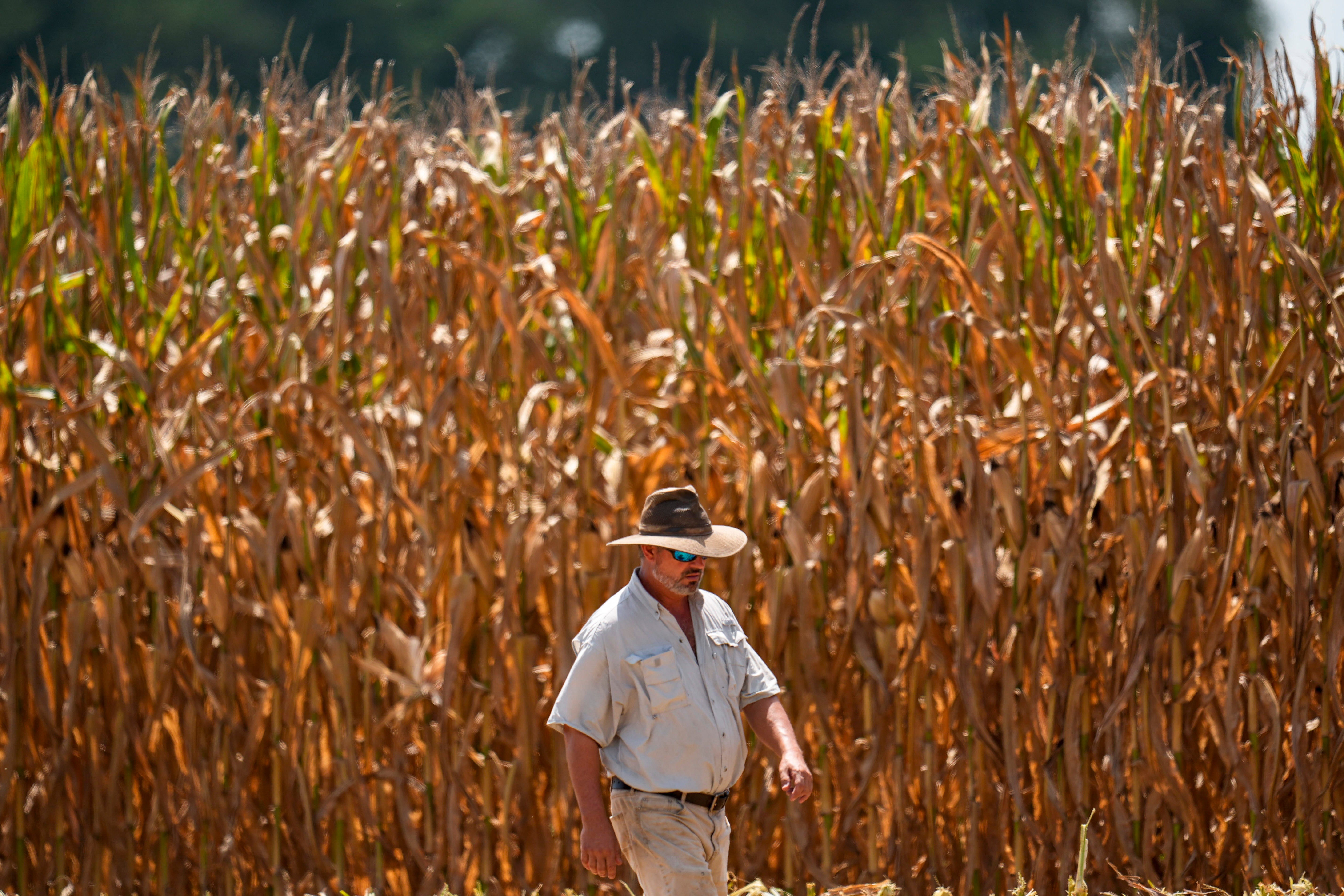 Extreme Weather Heat US
