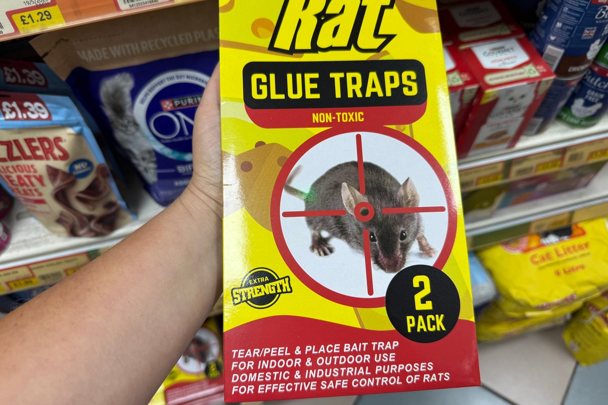 People using pest control glue traps face up to a year in prison