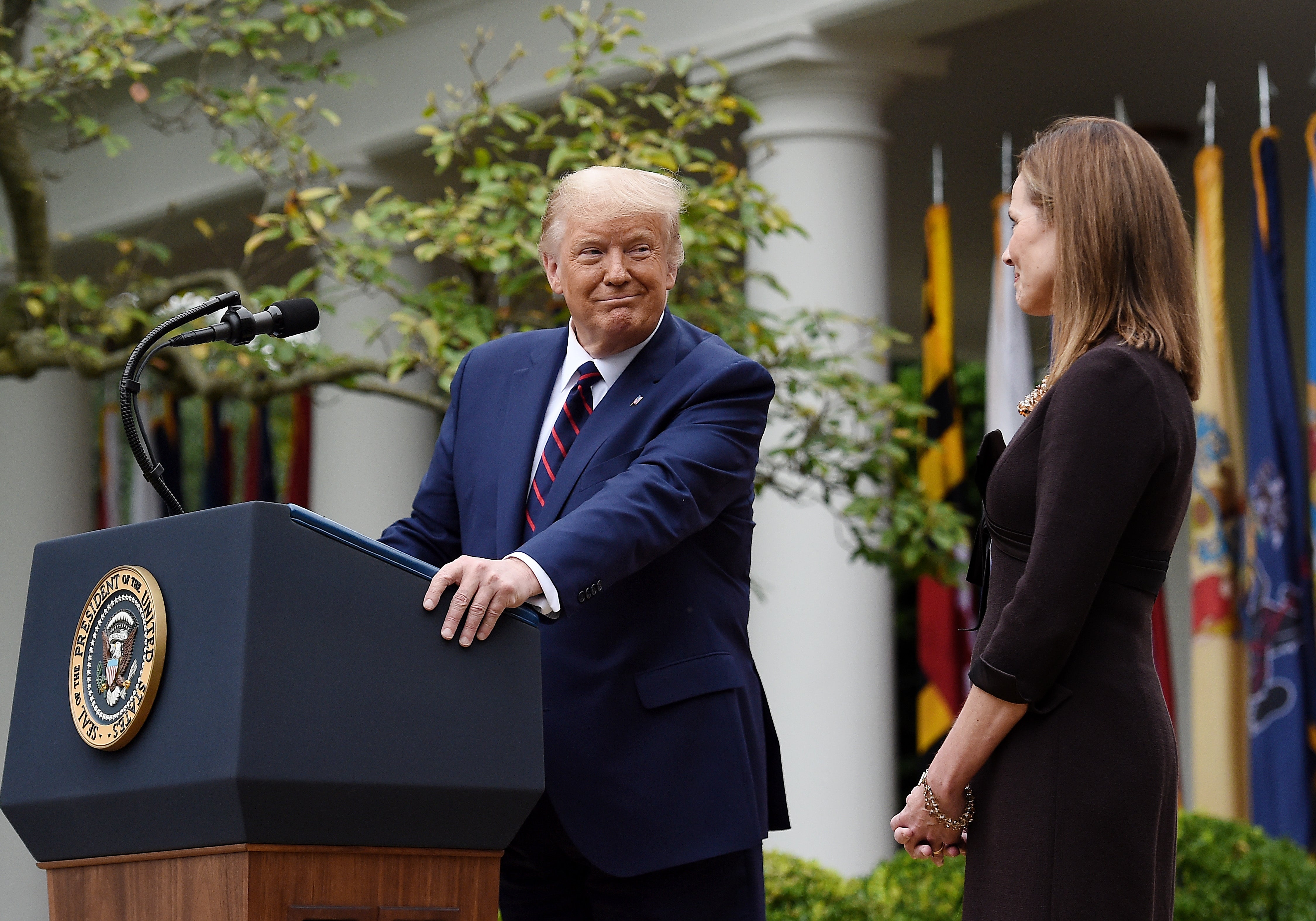Trump nominated Amy Coney Barrett to replace Ruth Bader Ginsburg in the final months of his presidency