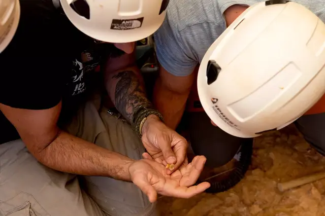 <p>Child's remains show earliest evidence of cannibalism in Europe</p>