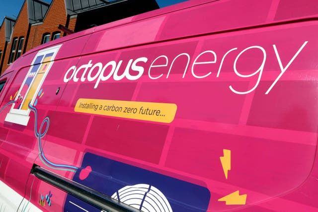 An Octopus Energy van in Brighton, East Sussex (Alamy/PA)