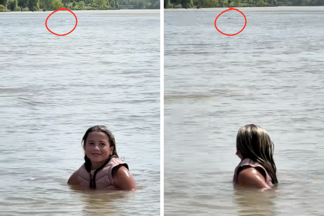 <p>Clair Hurta, una competidora de wakesurf de 12 años, tuvo un encuentro cercano con un caimán en el río Colorado, en Texas, durante el fin de semana</p>