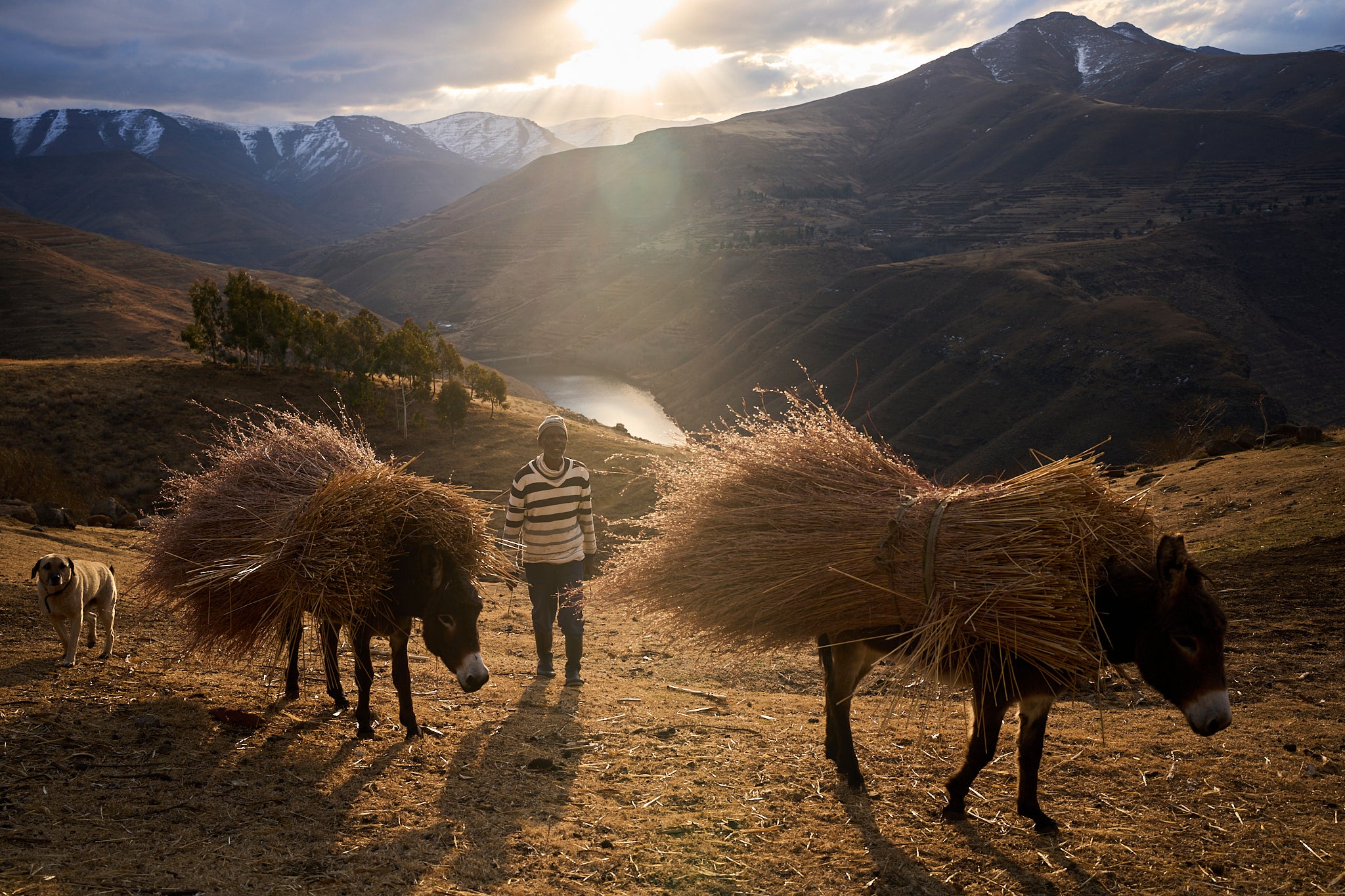 Lesotho Trump Tariffs