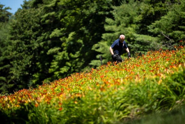 NUEVA YORK NIÑA AHOGADA PADRE ACUSADO