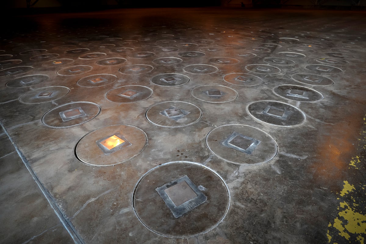 Radioactive wasp nest found at site where US once made nuclear bombs