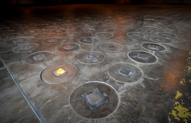 EEUU-AVISPAS-NIDO RADIOACTIVO