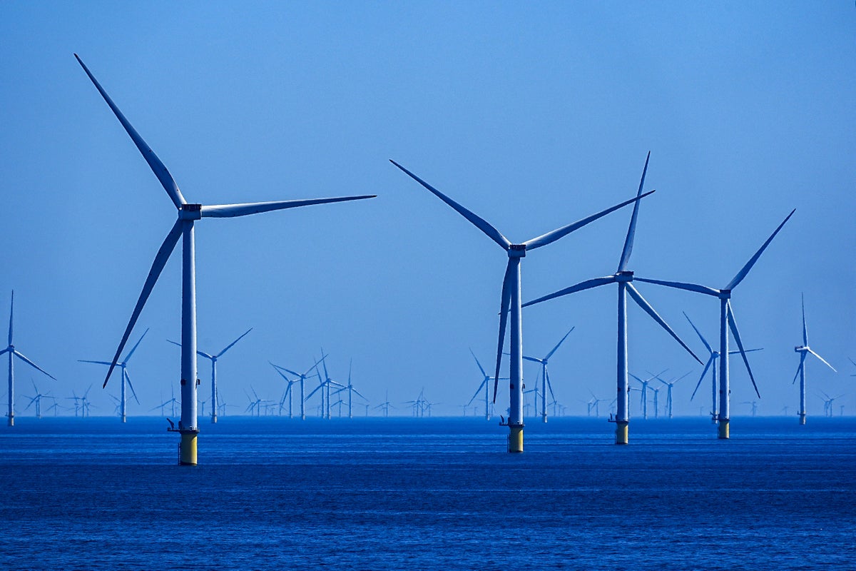 Renewables generate half of UK’s electricity in 2024 in new record high