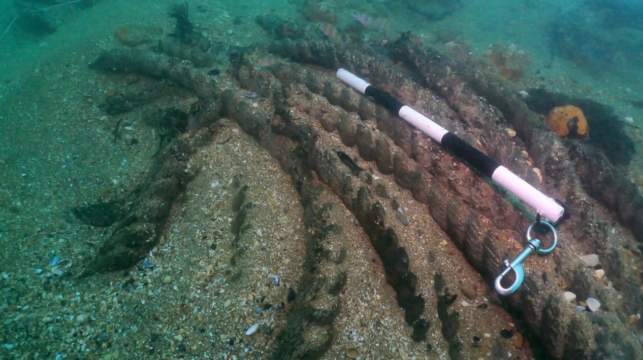 Coils of rope have been revealed on the ship