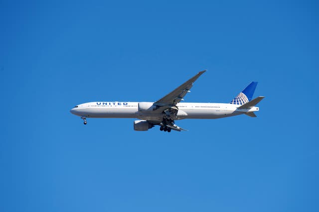<p>Munich-bound United flight was carrying 219 passengers and 11 crew members when it made a mayday call last month following engine failure (stock image)</p>