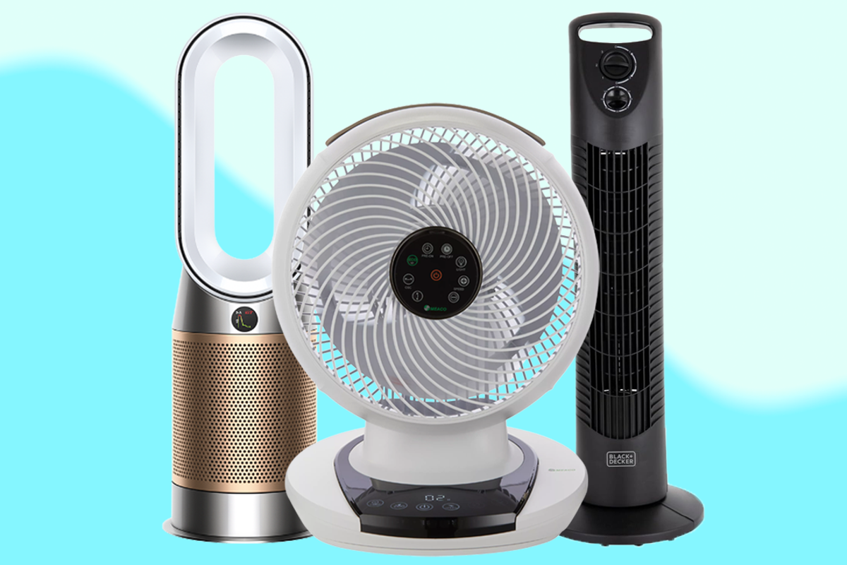 The best fans to beat the heat, reviewed by our experts