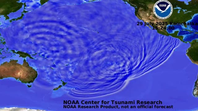 <p>Animation reveals how tsunami, triggered by 8.8-magnitude earthquake, surged across Pacific Ocean</p>