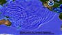 Animation shows tsunami triggered by earthquake surging across ocean