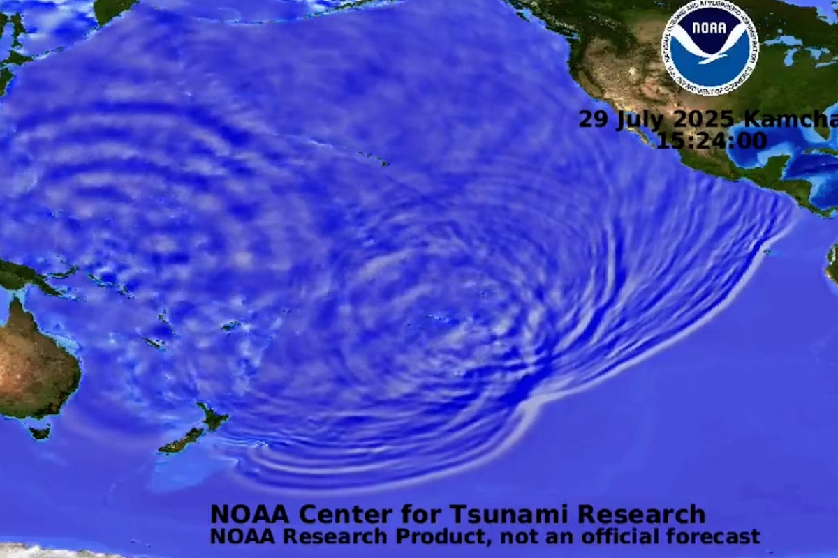 Animation reveals how tsunami, triggered by 8.8-magnitude earthquake, surged across Pacific Ocean