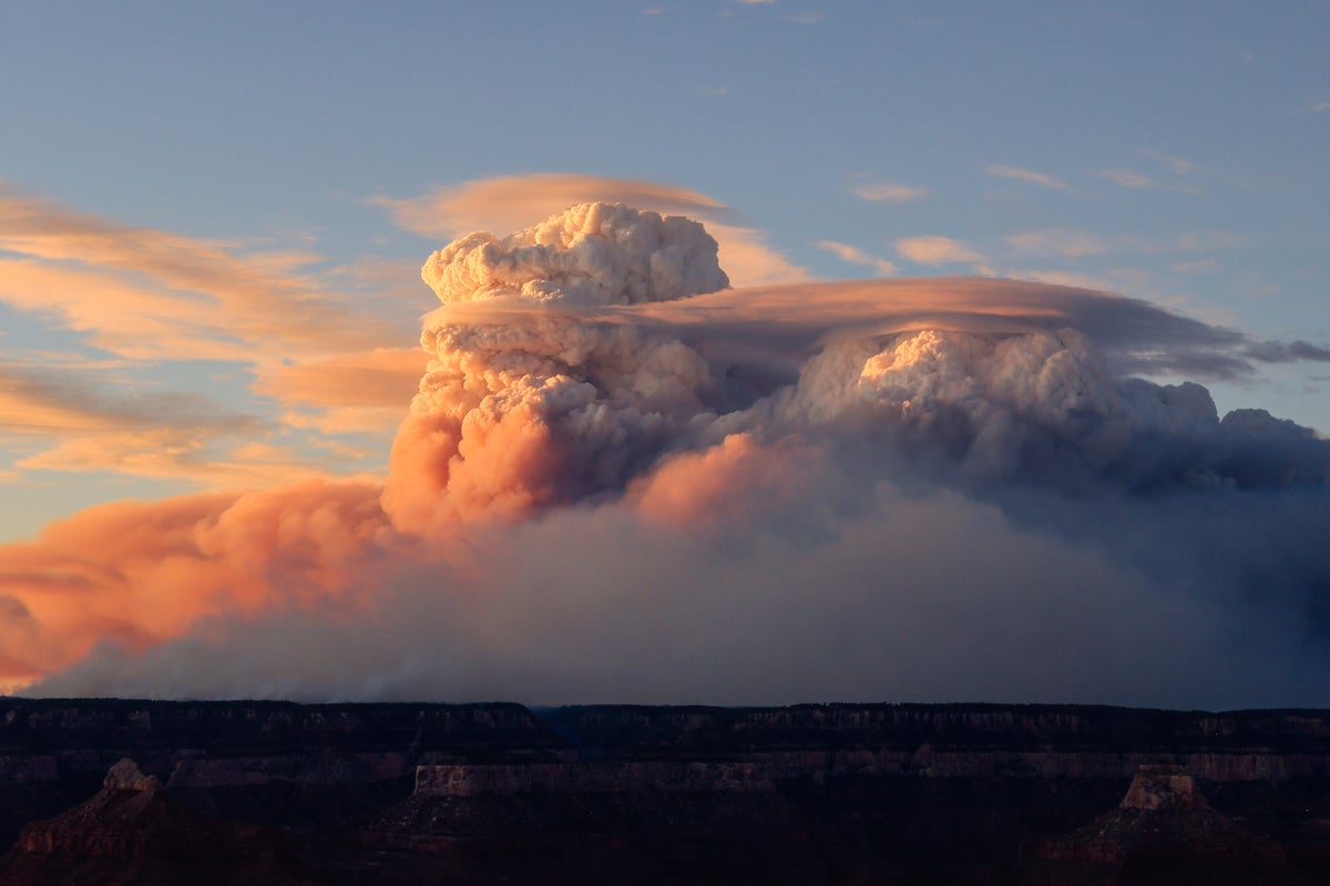 https://static.independent.co.uk/2025/07/31/23/Western_Wildfires_69289.jpg?width=1200&height=800&crop=1200:800