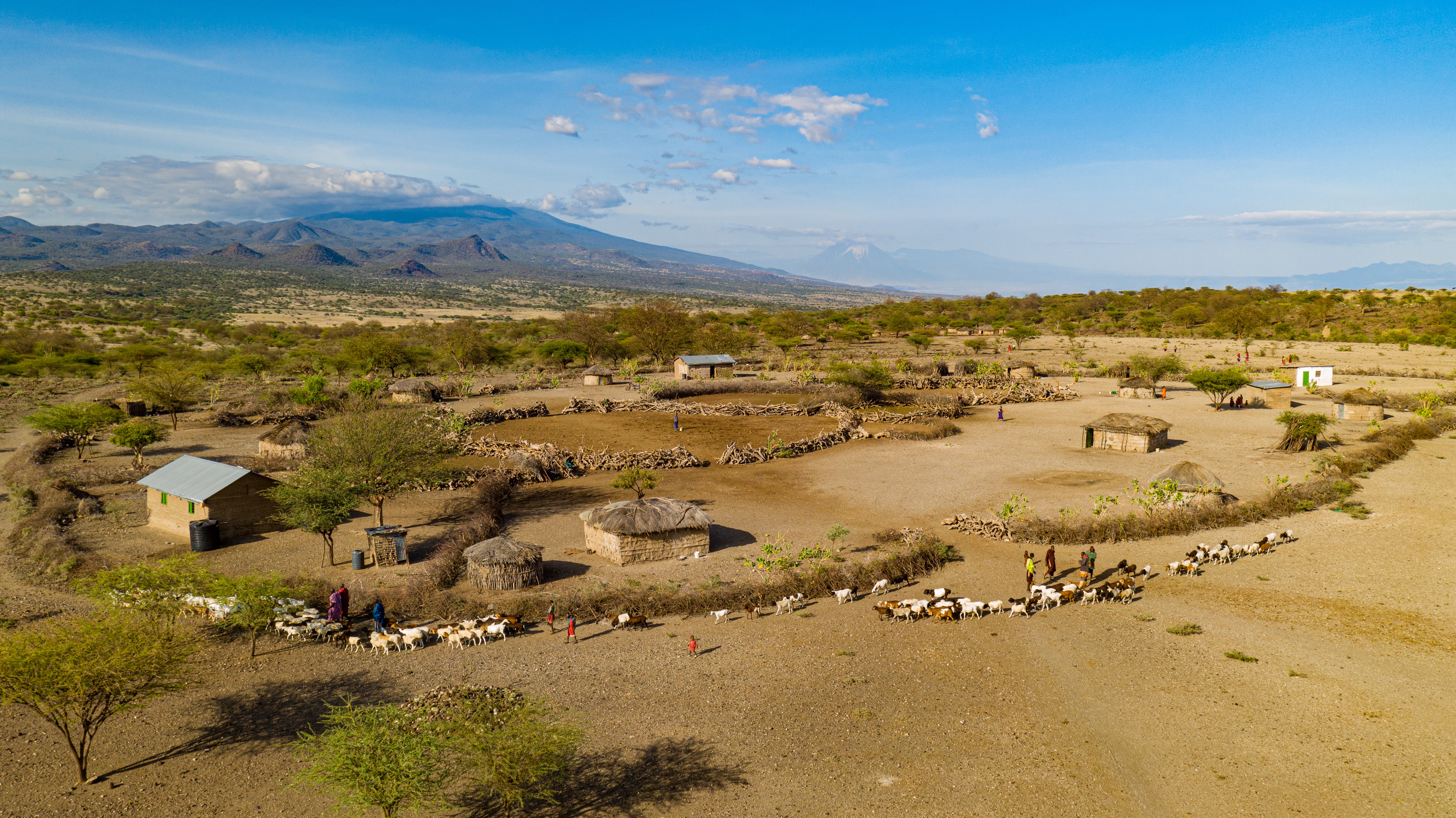A homestead in Tanzania that has received financial support from African People and Wildlife