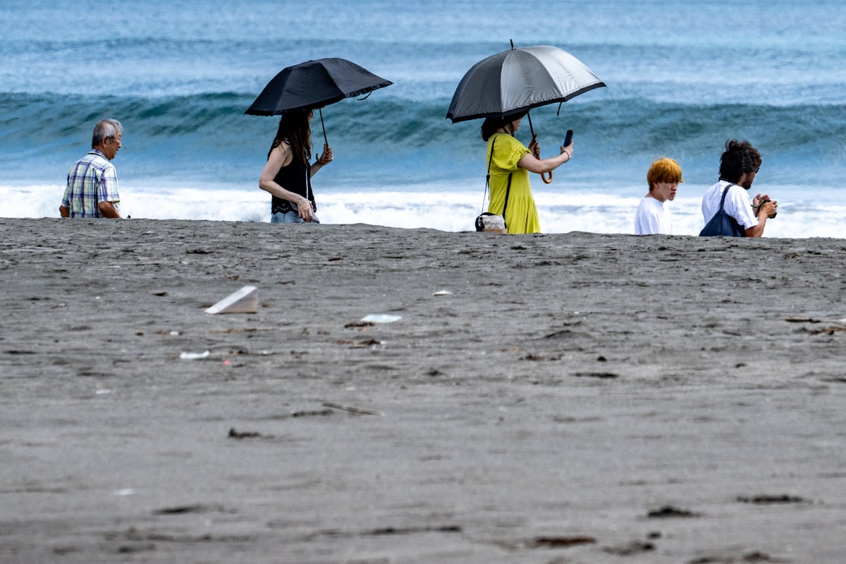 Why was the Pacific tsunami smaller than expected? A geologist explains