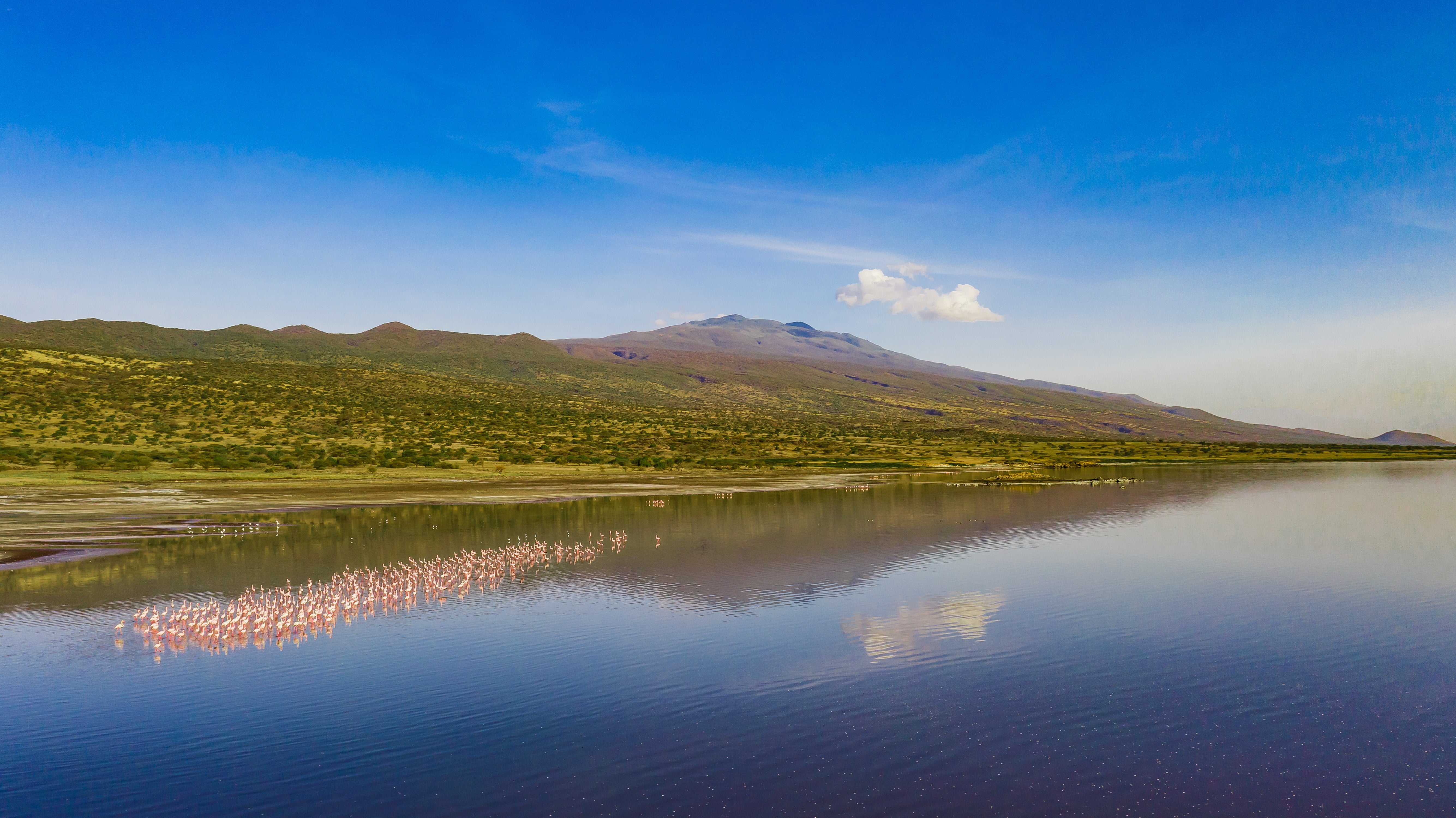 Flamingos on Lake Natron, where African People and Wildlife has run a conservation programme funded by UK aid