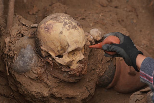 <p>Archaeologist Jose Aliaga works at the site where city workers discovered ancient remains, from the pre-Inca Chancay culture, and artifacts as they were digging a natural gas line on the outskirts of Lima, Peru</p>