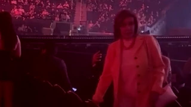 <p>Nancy Pelosi rocks out at Lady Gaga concert</p>